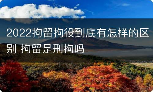 2022拘留拘役到底有怎样的区别 拘留是刑拘吗