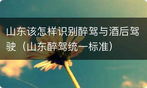山东该怎样识别醉驾与酒后驾驶（山东醉驾统一标准）