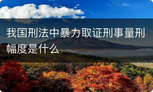 我国刑法中暴力取证刑事量刑幅度是什么