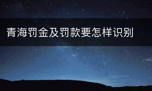 青海罚金及罚款要怎样识别