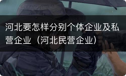 河北要怎样分别个体企业及私营企业（河北民营企业）