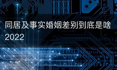 同居及事实婚姻差别到底是啥2022
