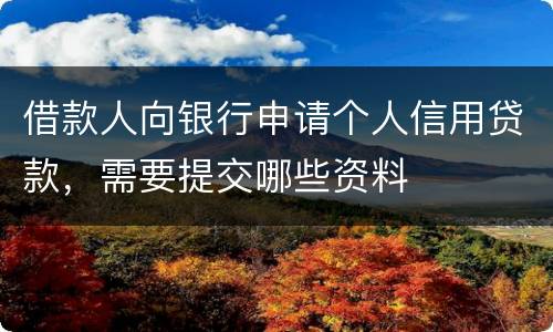 借款人向银行申请个人信用贷款，需要提交哪些资料