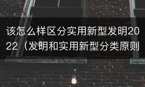 该怎么样区分实用新型发明2022（发明和实用新型分类原则）