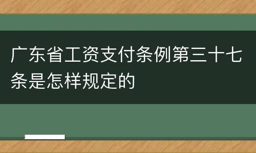 广东省工资支付条例第三十七条是怎样规定的
