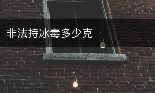 非法持冰毒多少克