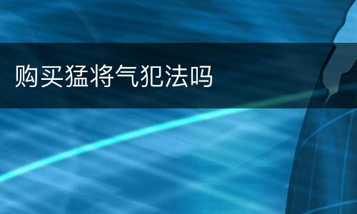 购买猛将气犯法吗