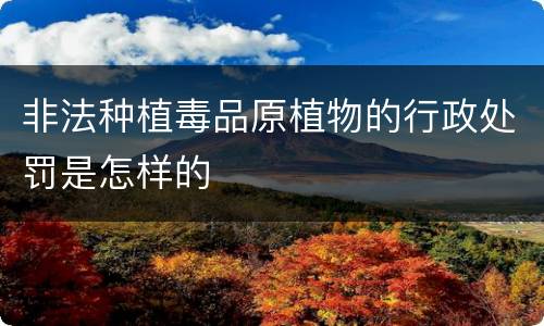 非法种植毒品原植物的行政处罚是怎样的