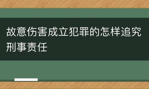 故意伤害成立犯罪的怎样追究刑事责任