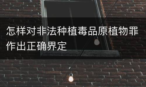 怎样对非法种植毒品原植物罪作出正确界定