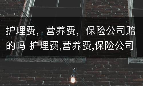 护理费，营养费，保险公司赔的吗 护理费,营养费,保险公司赔的吗怎么算