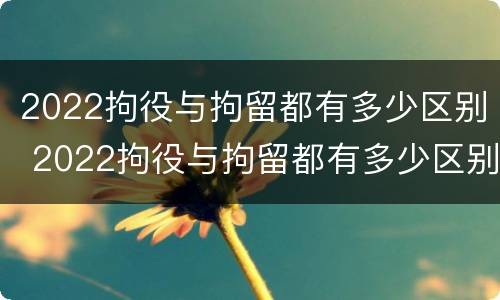2022拘役与拘留都有多少区别 2022拘役与拘留都有多少区别呢