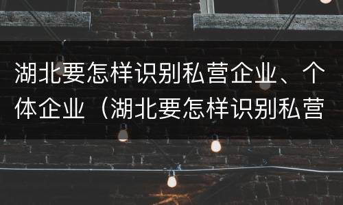 湖北要怎样识别私营企业、个体企业（湖北要怎样识别私营企业,个体企业名录）