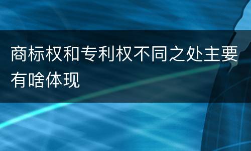 商标权和专利权不同之处主要有啥体现