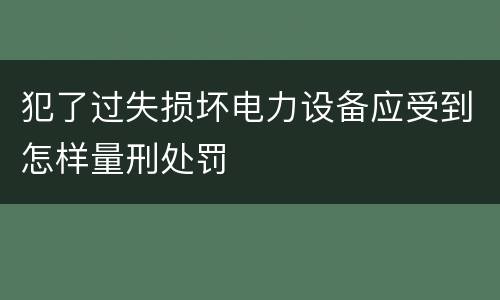犯了过失损坏电力设备应受到怎样量刑处罚