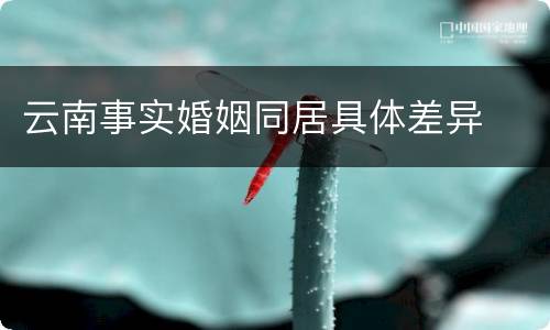 云南事实婚姻同居具体差异