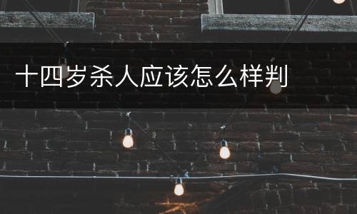 十四岁杀人应该怎么样判
