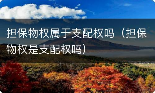 担保物权属于支配权吗（担保物权是支配权吗）