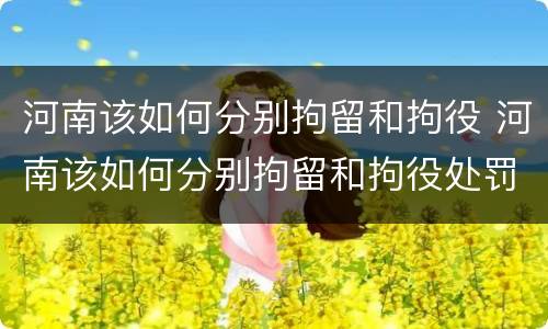 河南该如何分别拘留和拘役 河南该如何分别拘留和拘役处罚