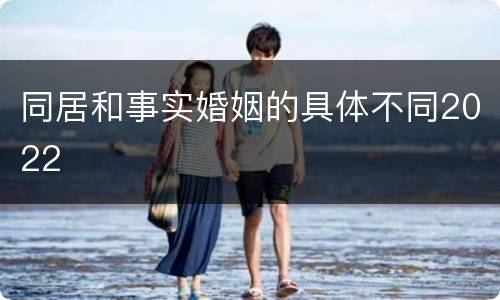 同居和事实婚姻的具体不同2022