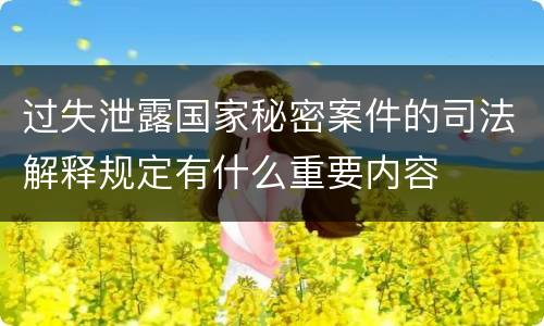 过失泄露国家秘密案件的司法解释规定有什么重要内容