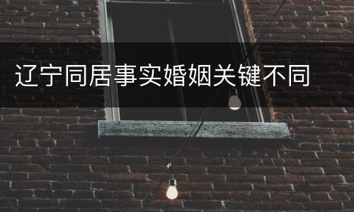辽宁同居事实婚姻关键不同