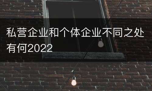 私营企业和个体企业不同之处有何2022