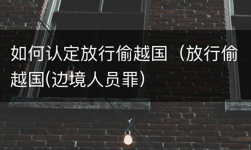 如何认定放行偷越国（放行偷越国(边境人员罪）