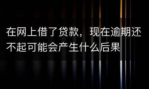 在网上借了贷款，现在逾期还不起可能会产生什么后果
