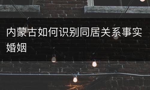 内蒙古如何识别同居关系事实婚姻