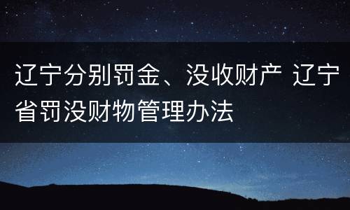 辽宁分别罚金、没收财产 辽宁省罚没财物管理办法