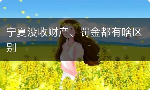 宁夏没收财产、罚金都有啥区别