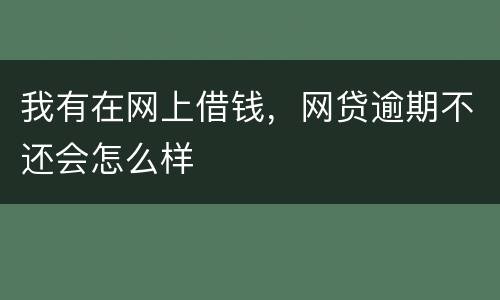 我有在网上借钱，网贷逾期不还会怎么样