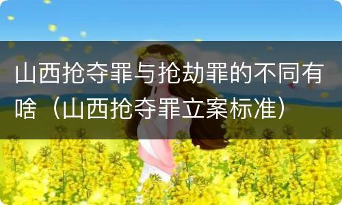山西抢夺罪与抢劫罪的不同有啥（山西抢夺罪立案标准）