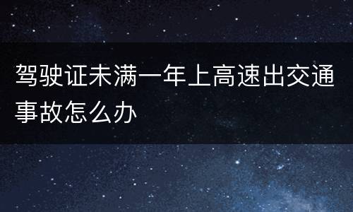 驾驶证未满一年上高速出交通事故怎么办