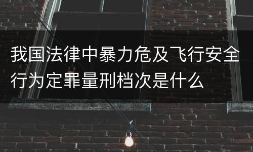 我国法律中暴力危及飞行安全行为定罪量刑档次是什么