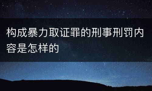 构成暴力取证罪的刑事刑罚内容是怎样的