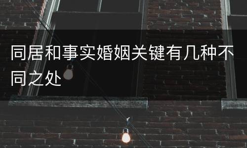 同居和事实婚姻关键有几种不同之处