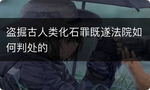 盗掘古人类化石罪既遂法院如何判处的