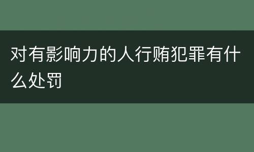 对有影响力的人行贿犯罪有什么处罚