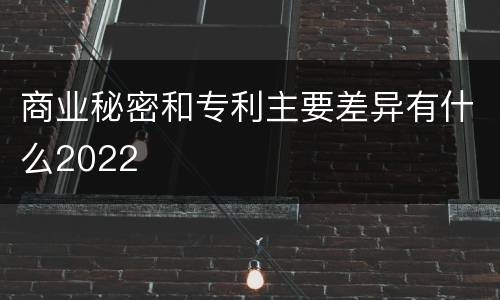 商业秘密和专利主要差异有什么2022