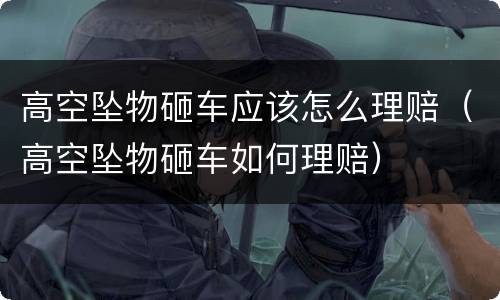 高空坠物砸车应该怎么理赔（高空坠物砸车如何理赔）