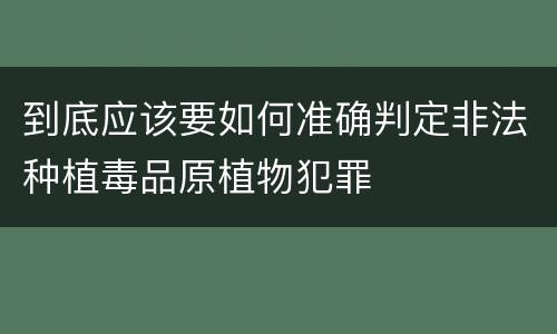 到底应该要如何准确判定非法种植毒品原植物犯罪