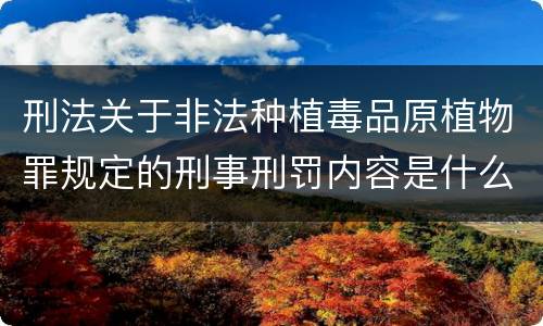 刑法关于非法种植毒品原植物罪规定的刑事刑罚内容是什么