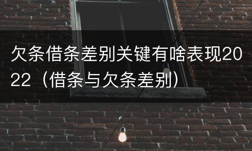 欠条借条差别关键有啥表现2022（借条与欠条差别）