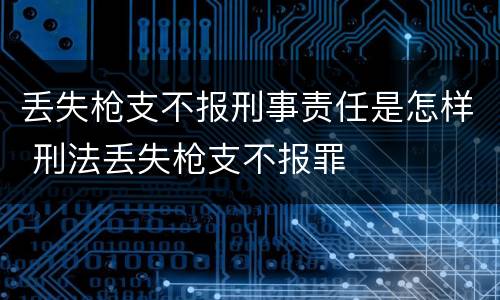 丢失枪支不报刑事责任是怎样 刑法丢失枪支不报罪