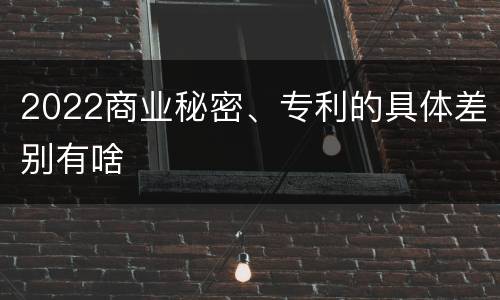 2022商业秘密、专利的具体差别有啥
