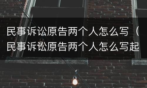 民事诉讼原告两个人怎么写（民事诉讼原告两个人怎么写起诉状）