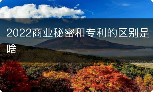 2022商业秘密和专利的区别是啥