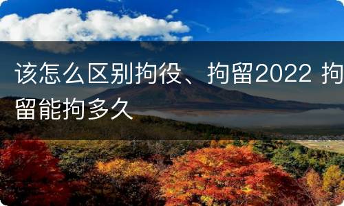 该怎么区别拘役、拘留2022 拘留能拘多久